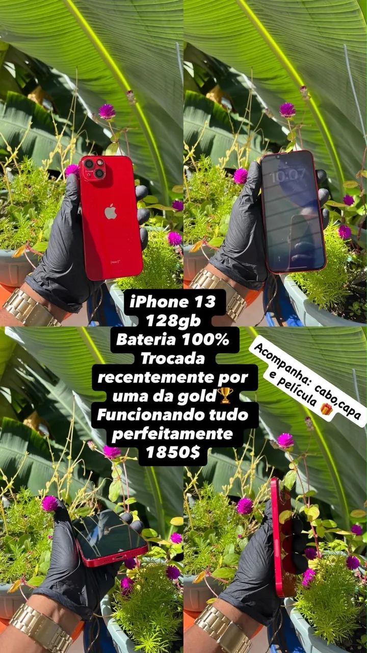 iPhone 13