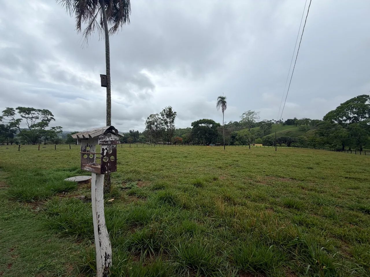 BRAZABRANTES-GO - Foto 4