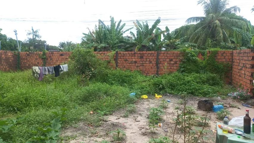 Vendo terreno na Raposa/Araçagi 450 M2 - Foto 3