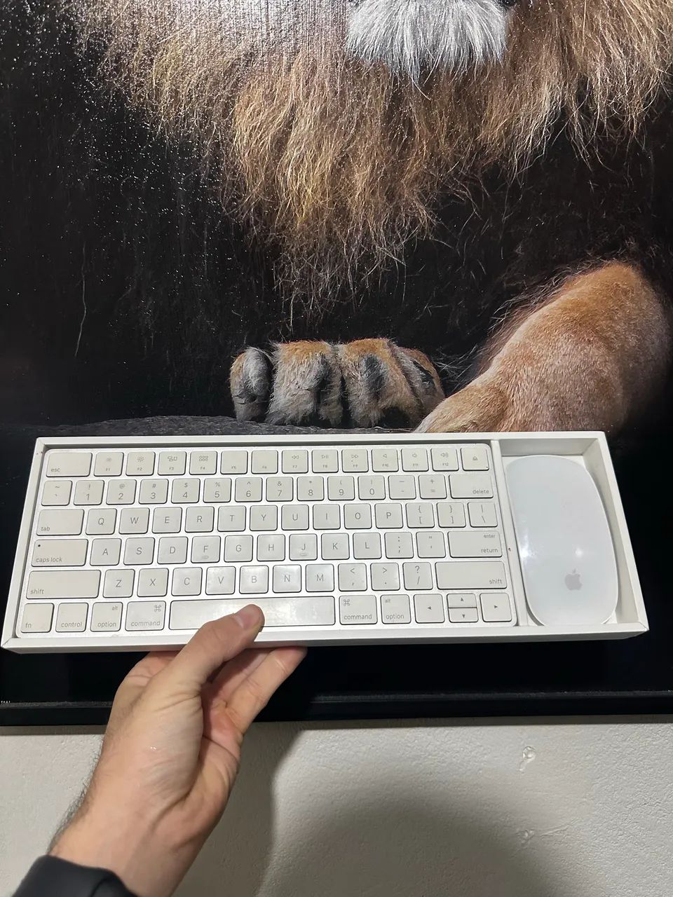Kit Apple Magic Keyboard + Magic Mouse