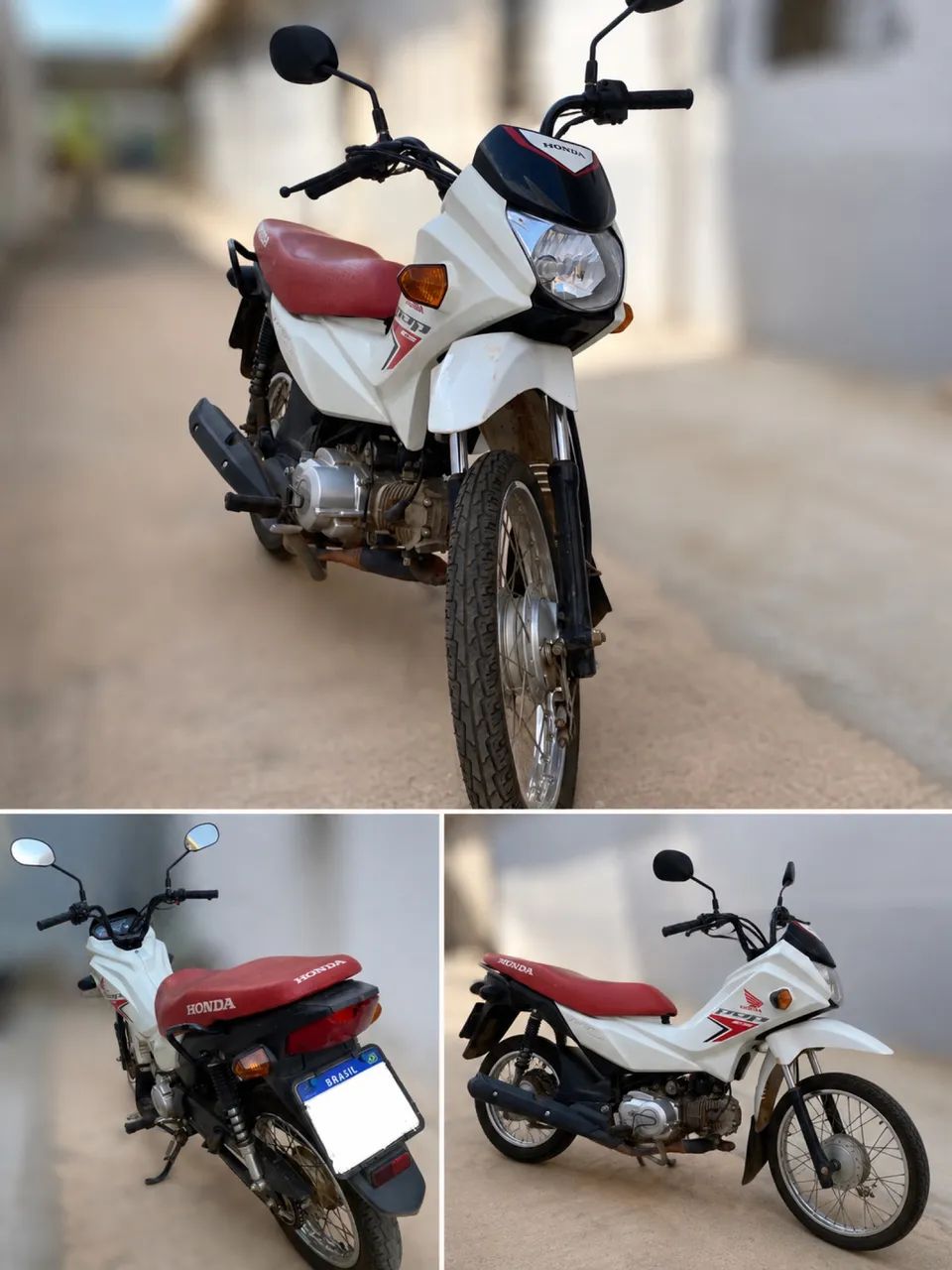 Honda pop 2026