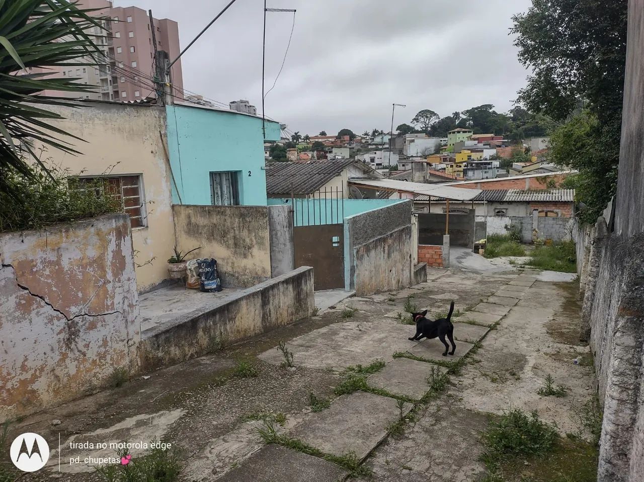 Terreno de 1000 mts com 7 casas  - Foto 2