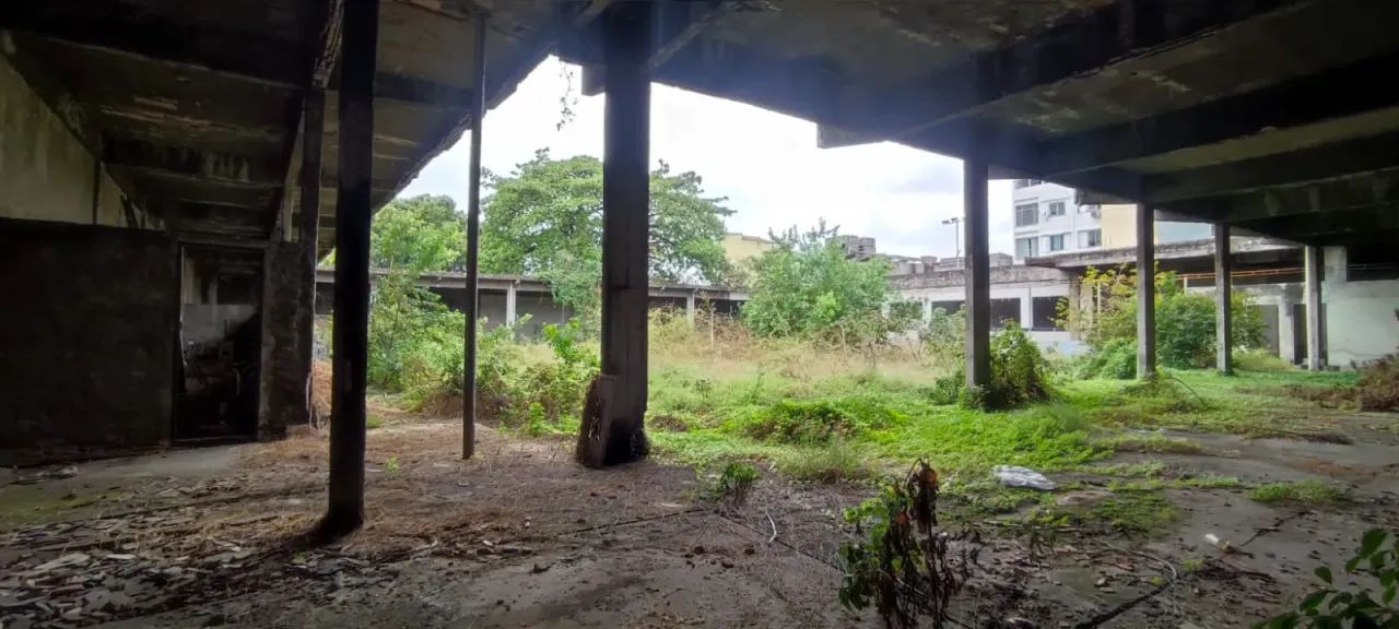 Pilares - Terreno Plano Com Galpão 3.500² - Foto 5