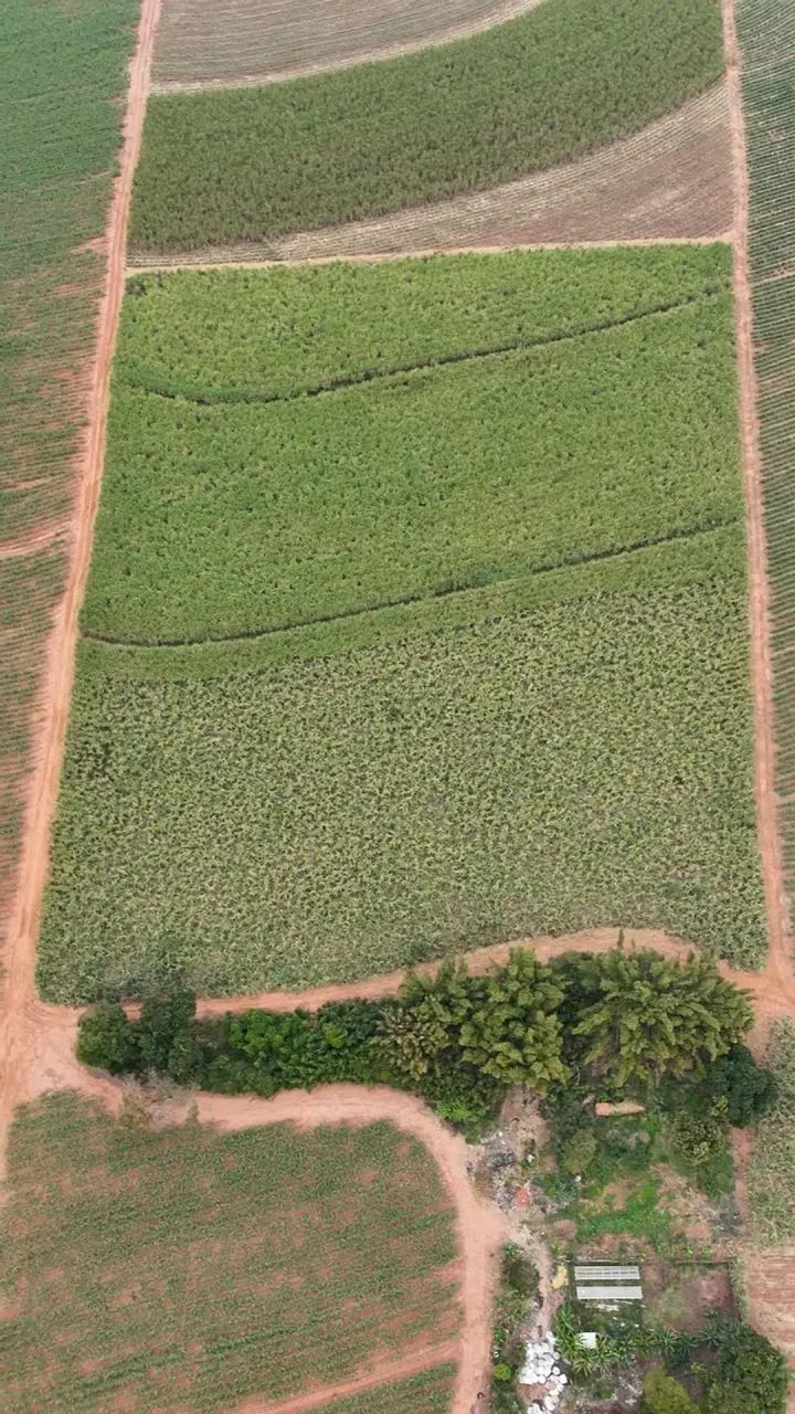 sitoo com 2 alqueires e ótima topografia, com 2 casas, poço- 1 km do asfalto - Foto 5