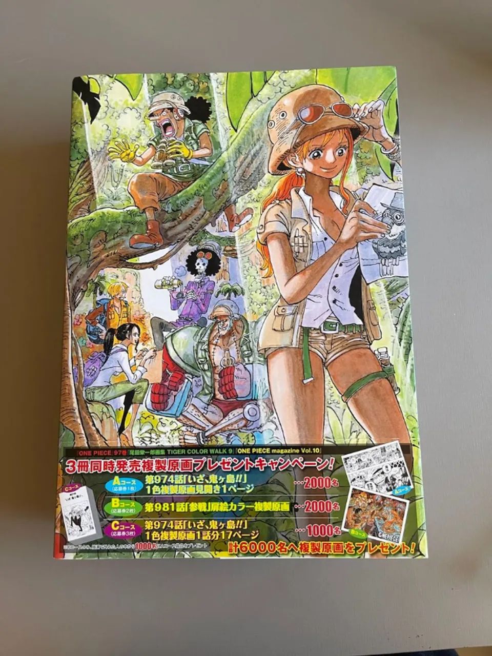 one piece color walk 9 artbook edição japonesa - Livros e revistas