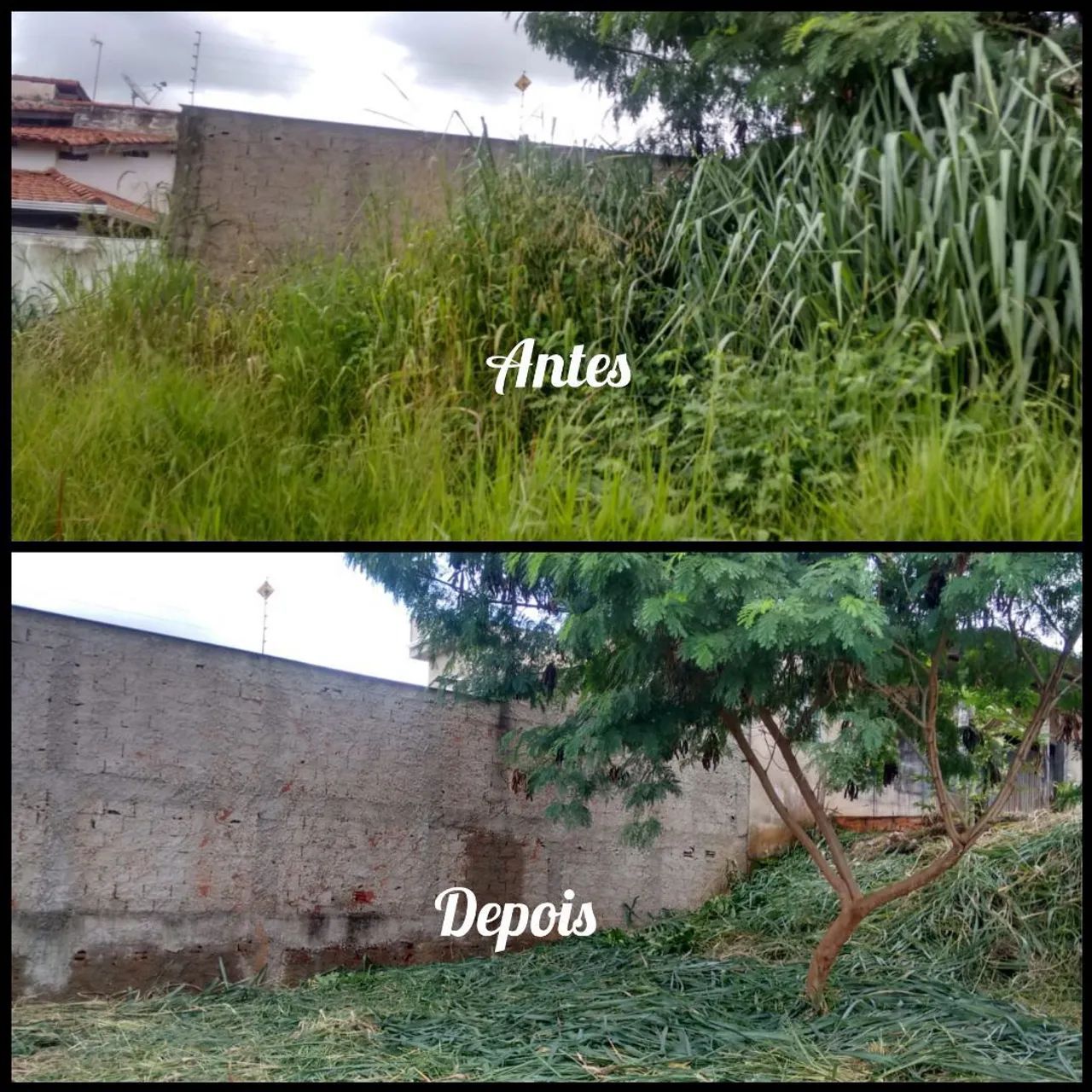 Roçagem em geral  - Foto 2