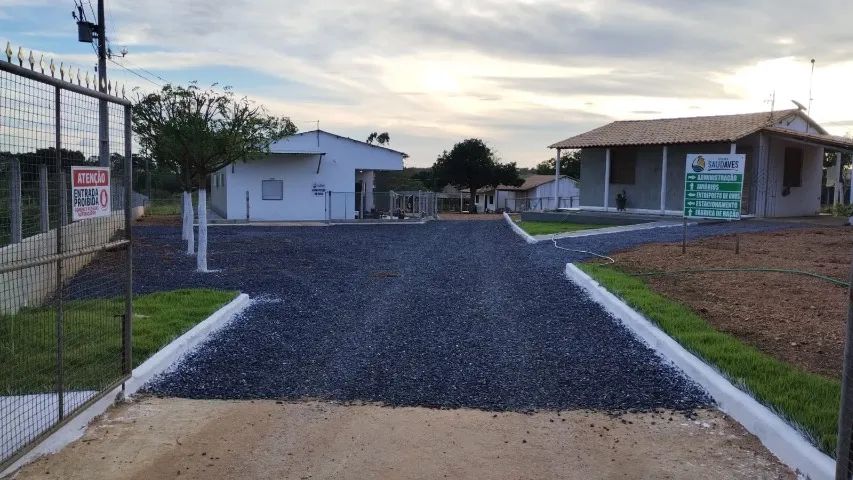 GRANJA + AGROINDÚSTRIA DE OVOS À VENDA | OPERAÇÃO EM FUNCIONAMENTO | RIBEIRÓPOLIS/SE - Foto 3