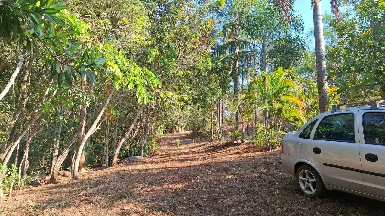 CHÁCARA À VENDA  REGIÃO DE BONFINÓPOLIS/GO - Foto 4