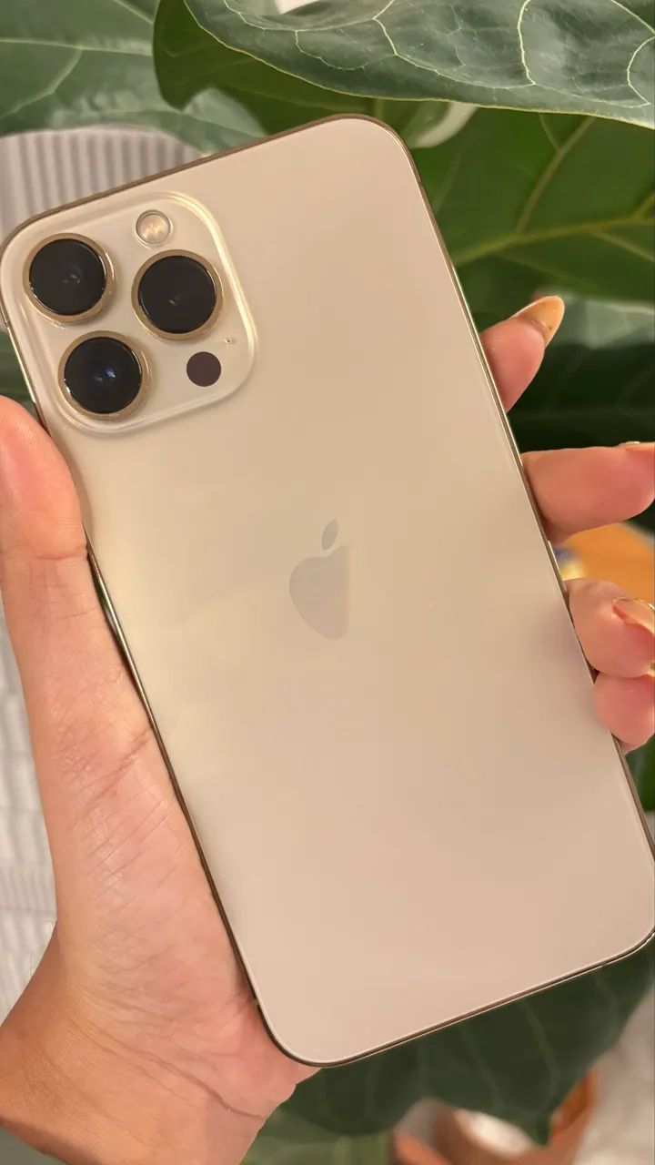 iPhone 13 Pro Max 512GB