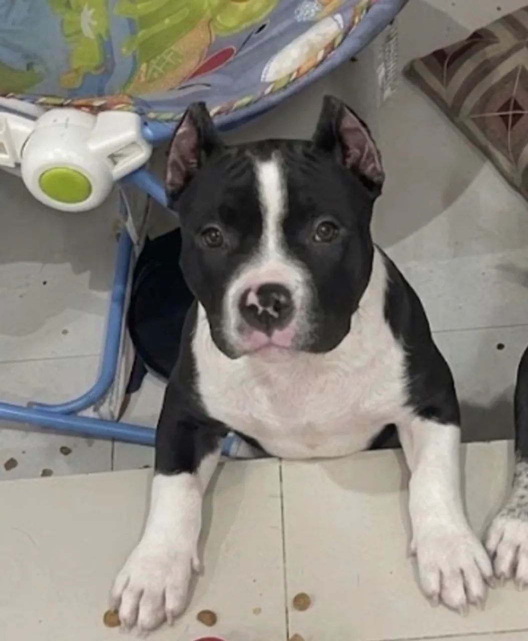 Pit monster