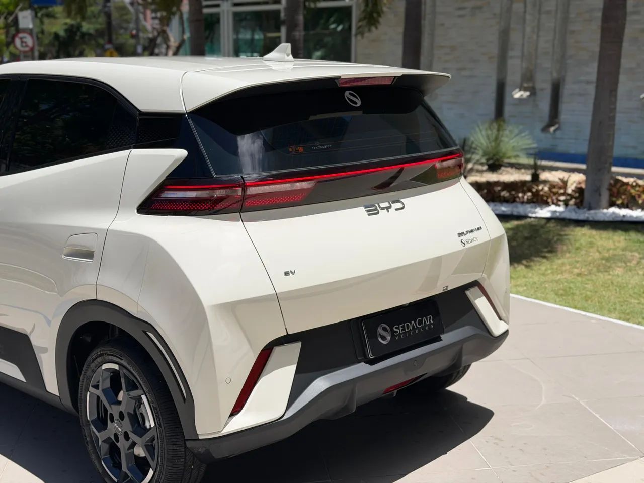 BYD Dolphin Mini GL 2027 - Foto 5