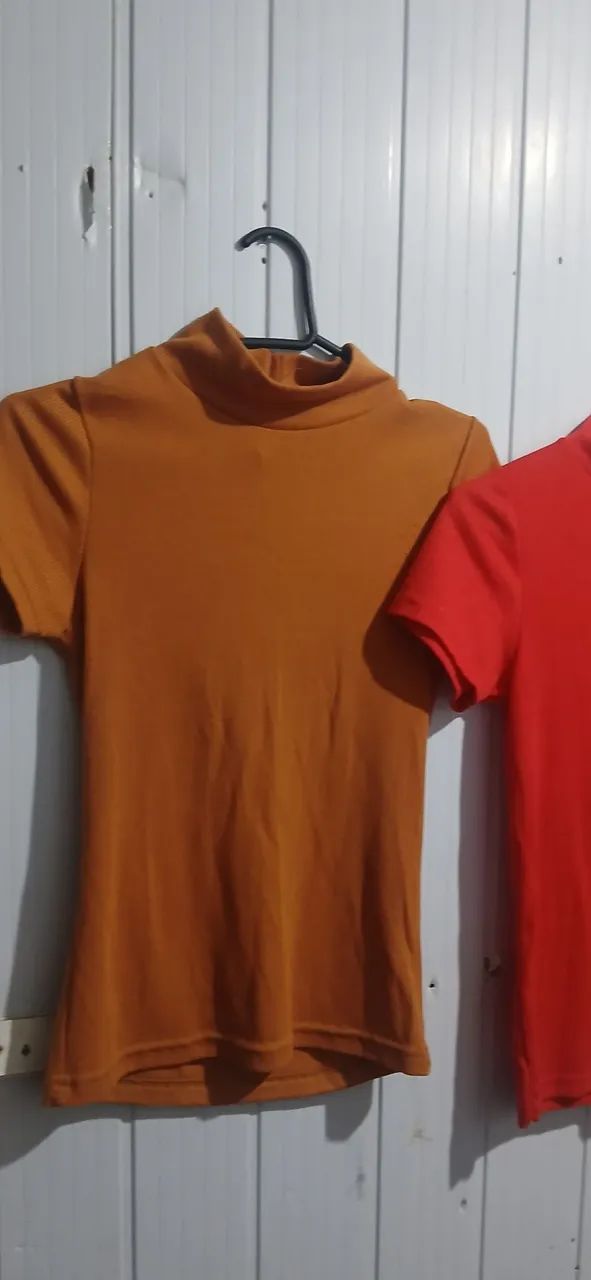 As duas por 30$ - Foto 5