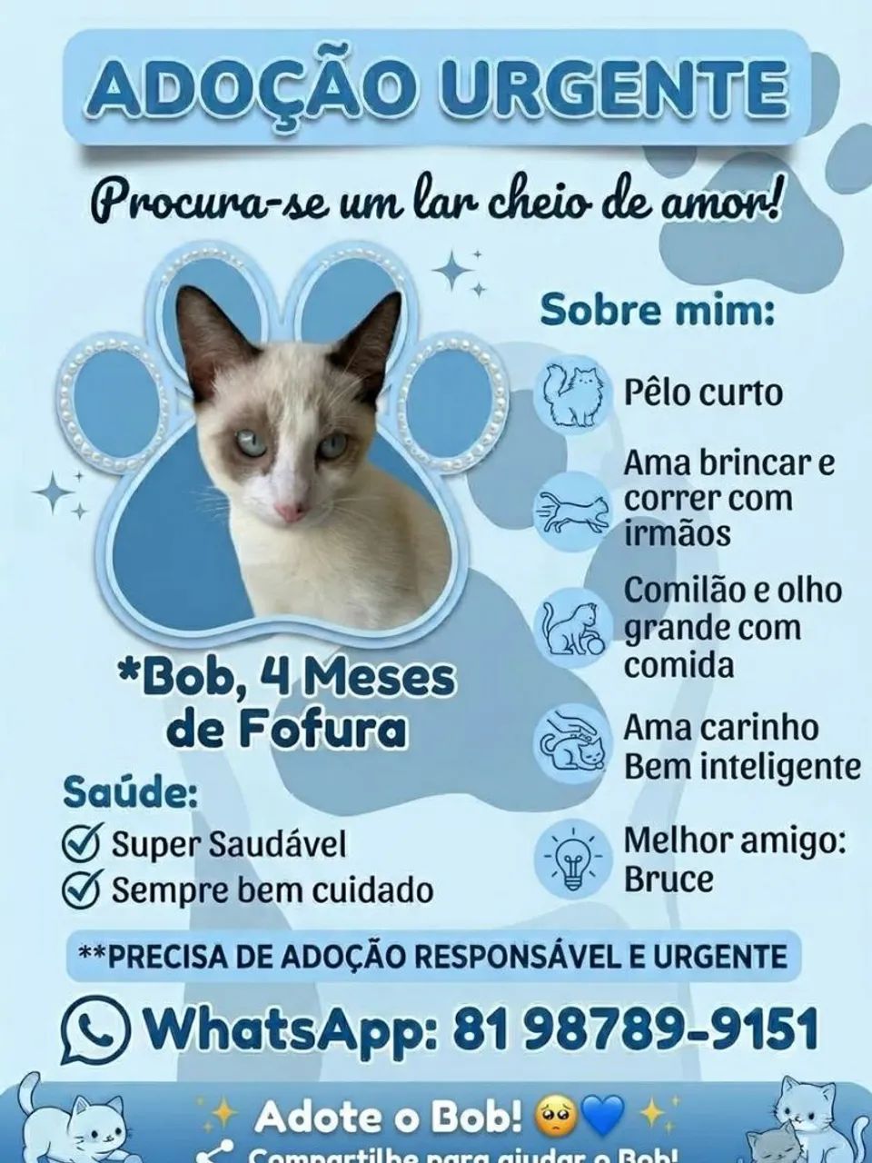 ADOÇÃO RESPONSÁVEL - Foto 2