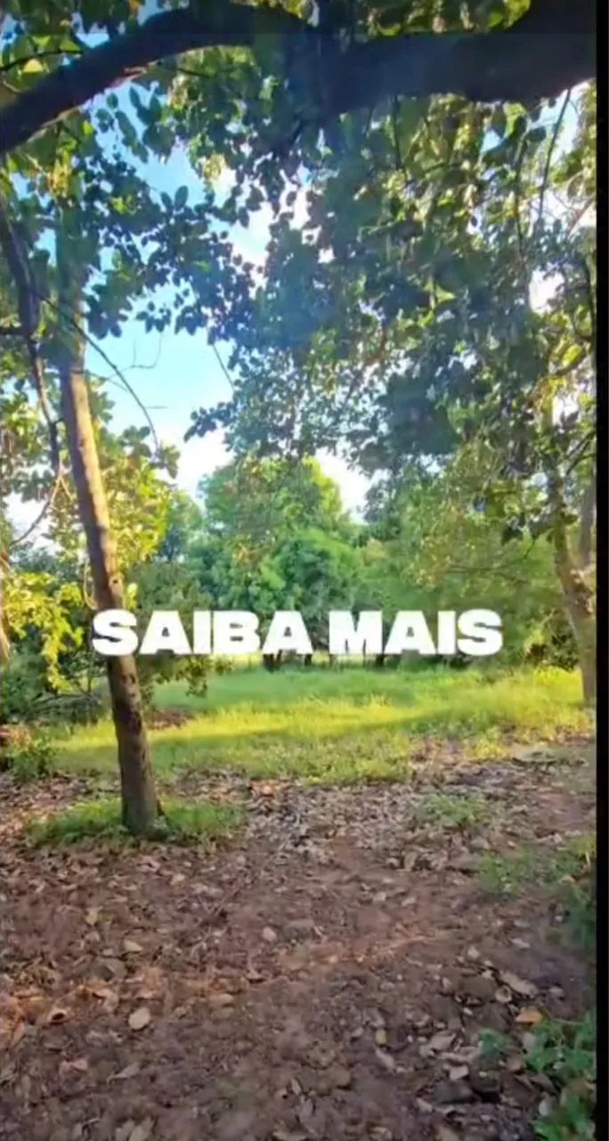 Sítio São João  - Foto 2