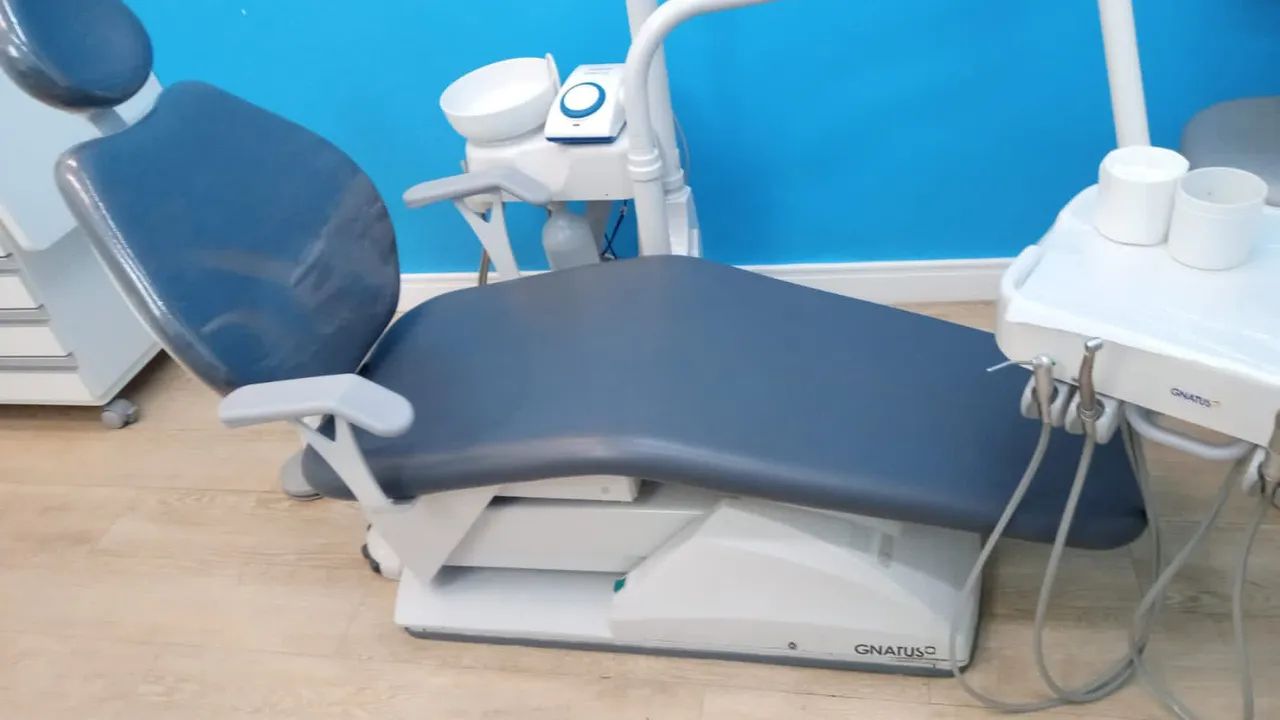 Cadeira Gnatus 2022 - Foto 2