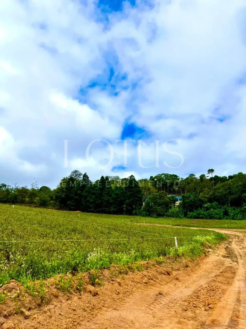 82C-TERRENO 500M COTIA, DIRETO COM PROPRIETÁRIO - Foto 5