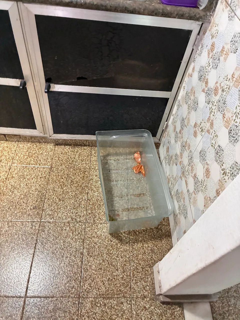 Geladeira  - Foto 2