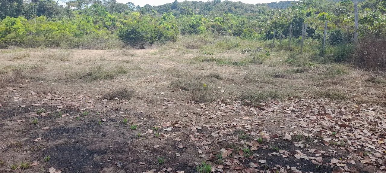 Vendo 2 terrenos 10x30 cada - Foto 5