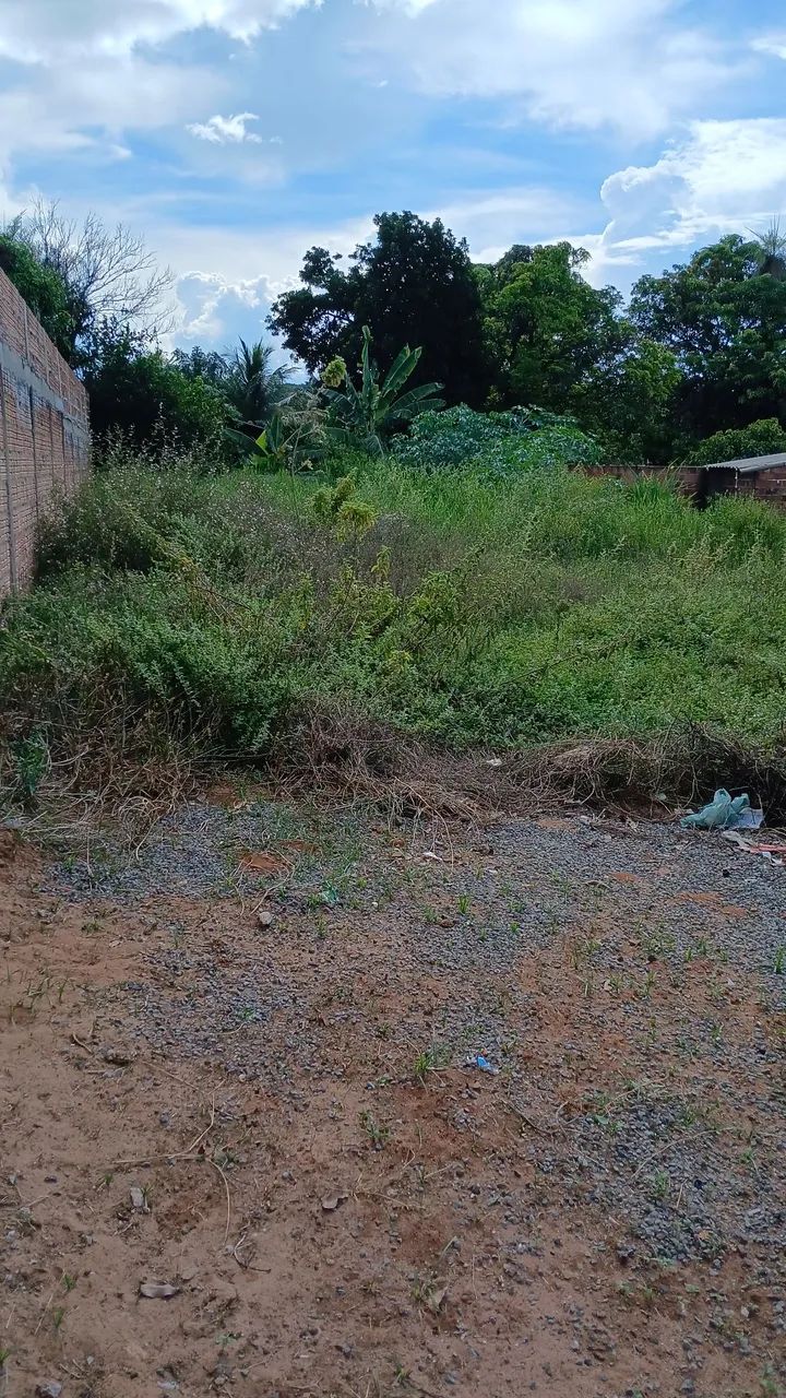 Terreno em Ribas do Rio Pardo - Foto 3