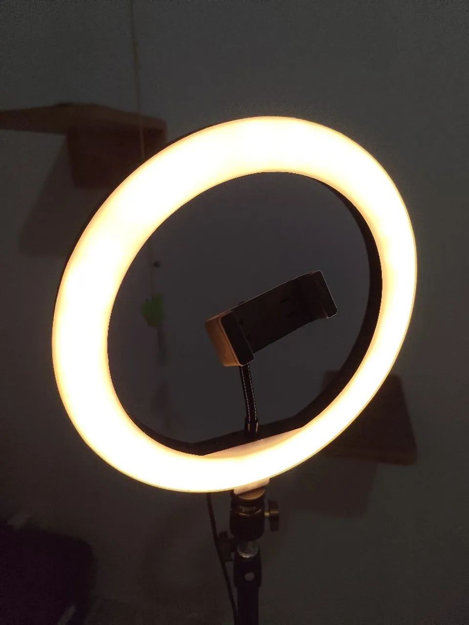 Ring light 