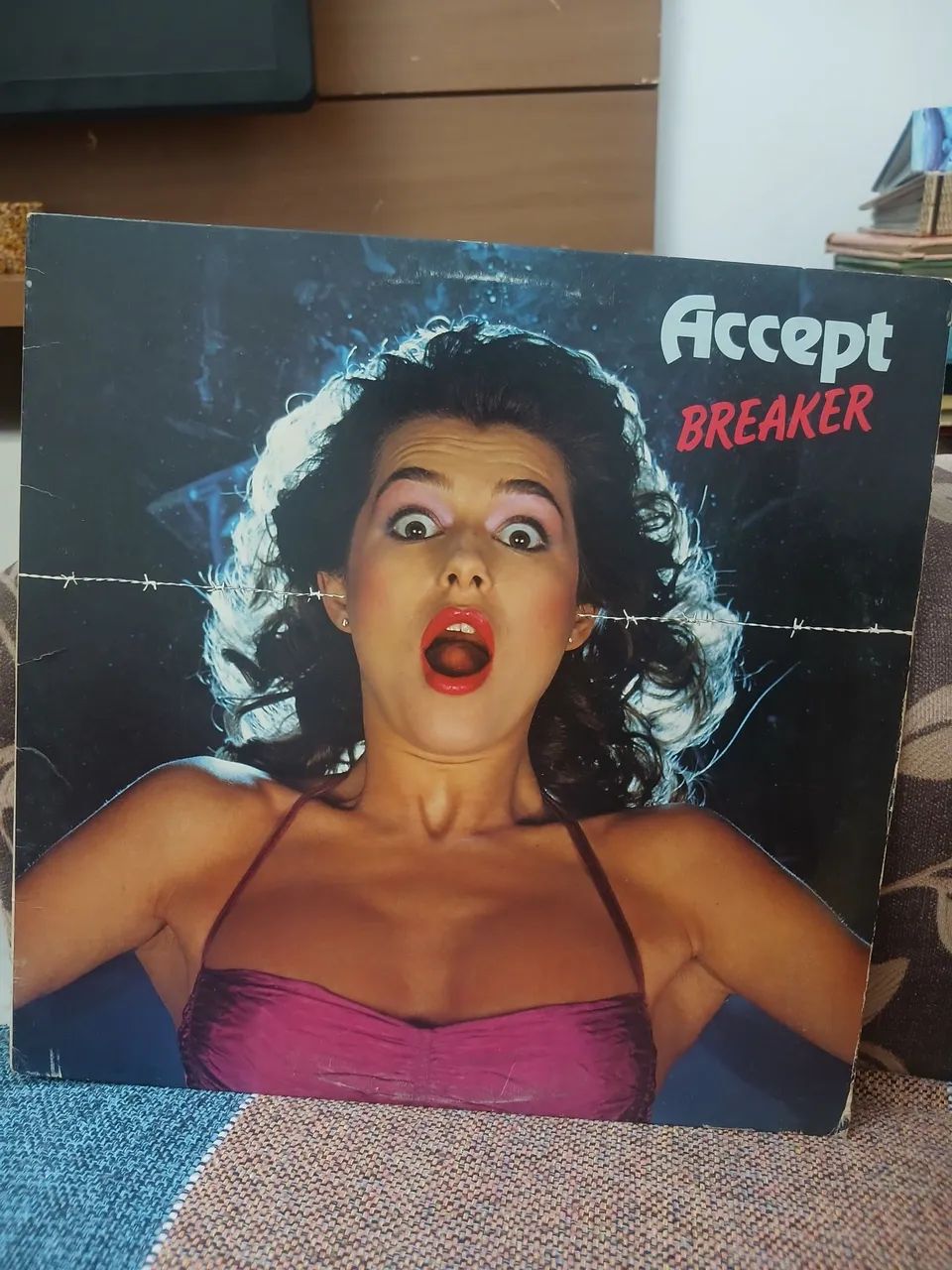 Disco de vinil!! Banda Accept!!