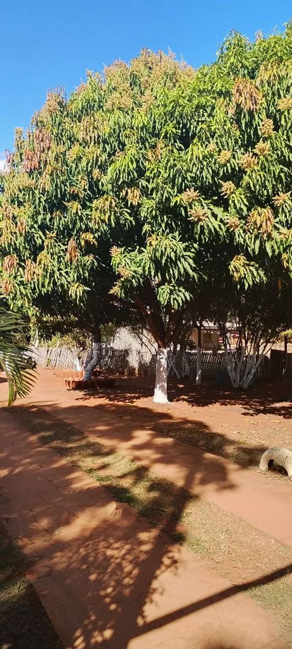 Vendo chácara de 2.800 metros quadrados  - Foto 4