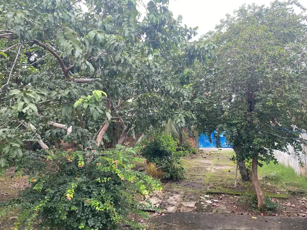 Uma das poucas oportunidades da Av. Rotary ! - Foto 2