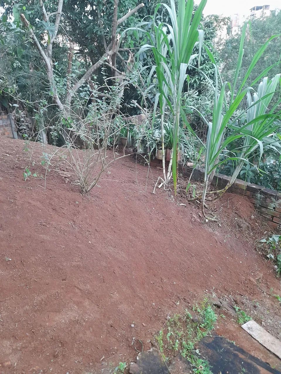 Terreno bem localizado.
