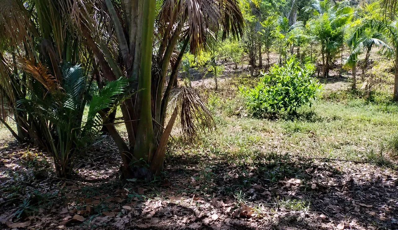 Excelente área no Quebra Pote ideal para chácara ou sítio
