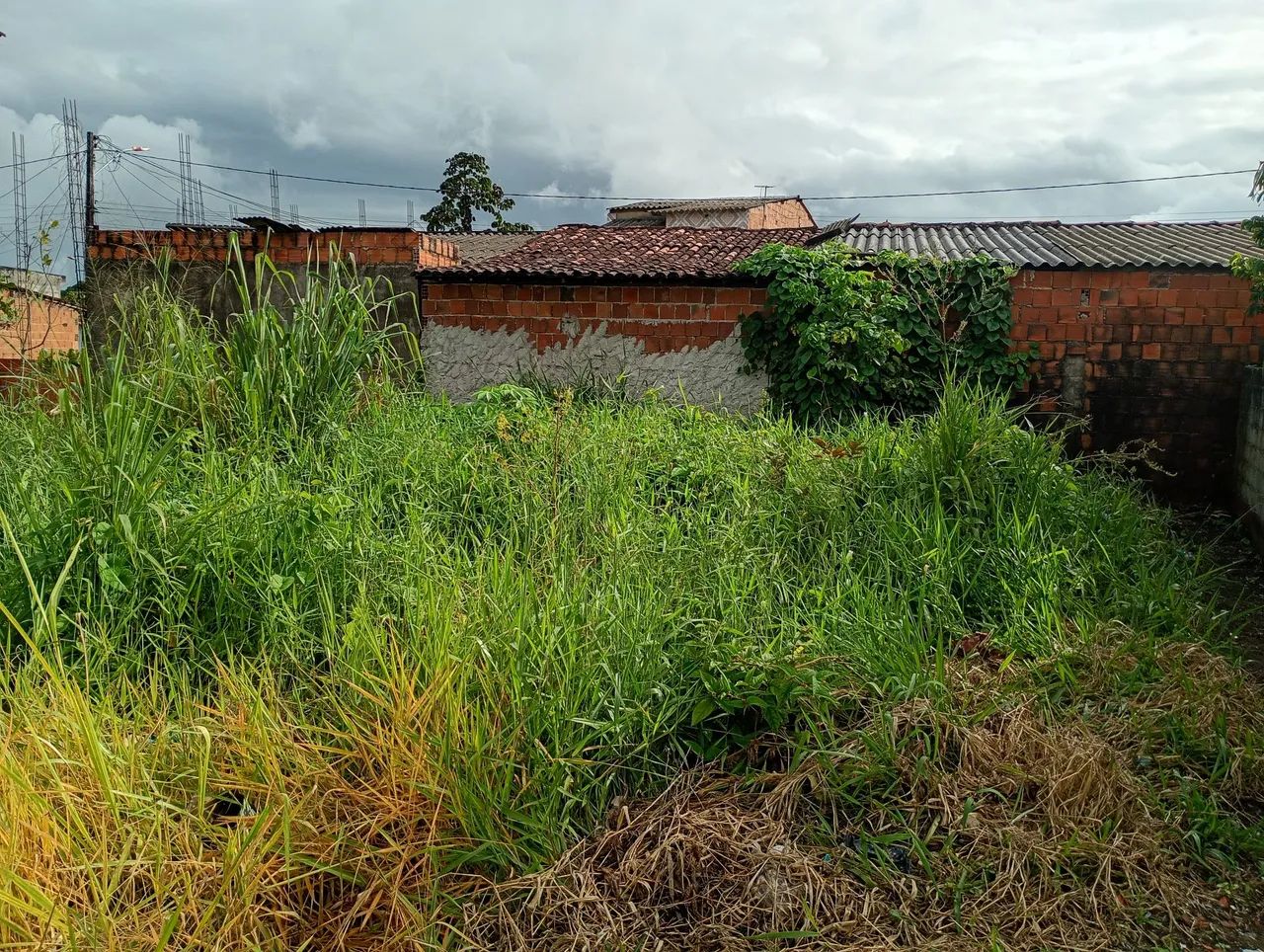 Vendo terreno 