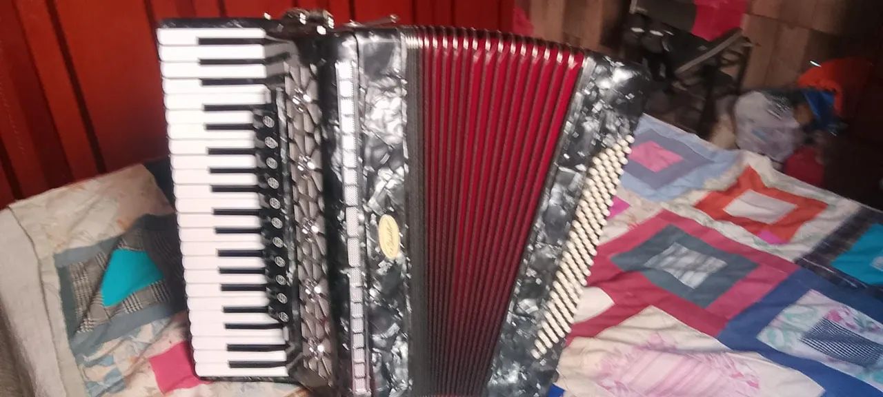 Acordeon  - Foto 2