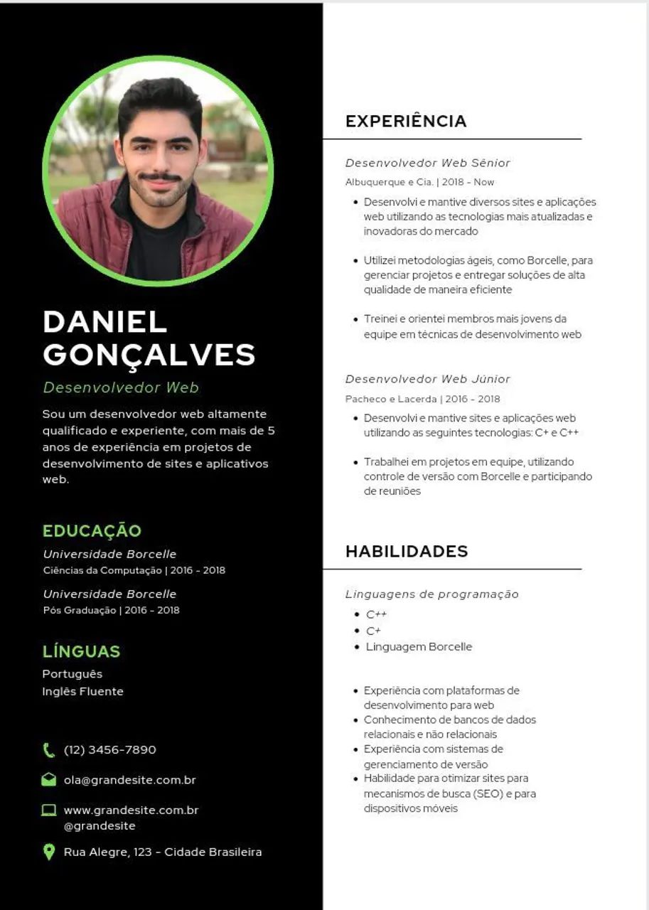 Faço Currículo profissional 12 reais