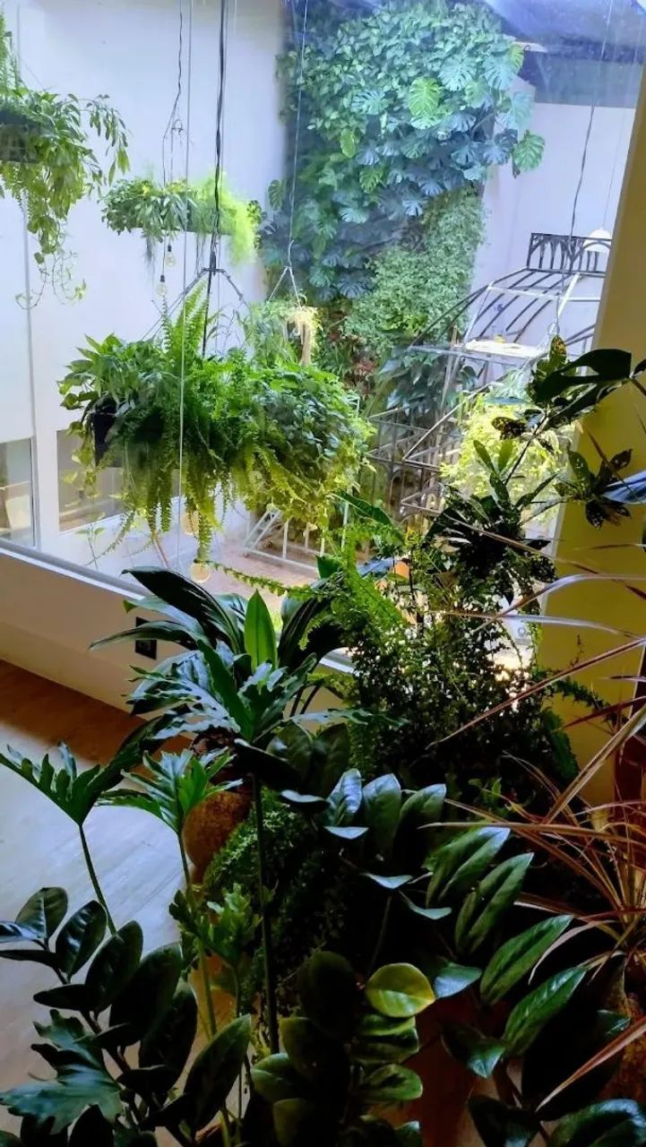 Galpao para comércio  - Foto 3