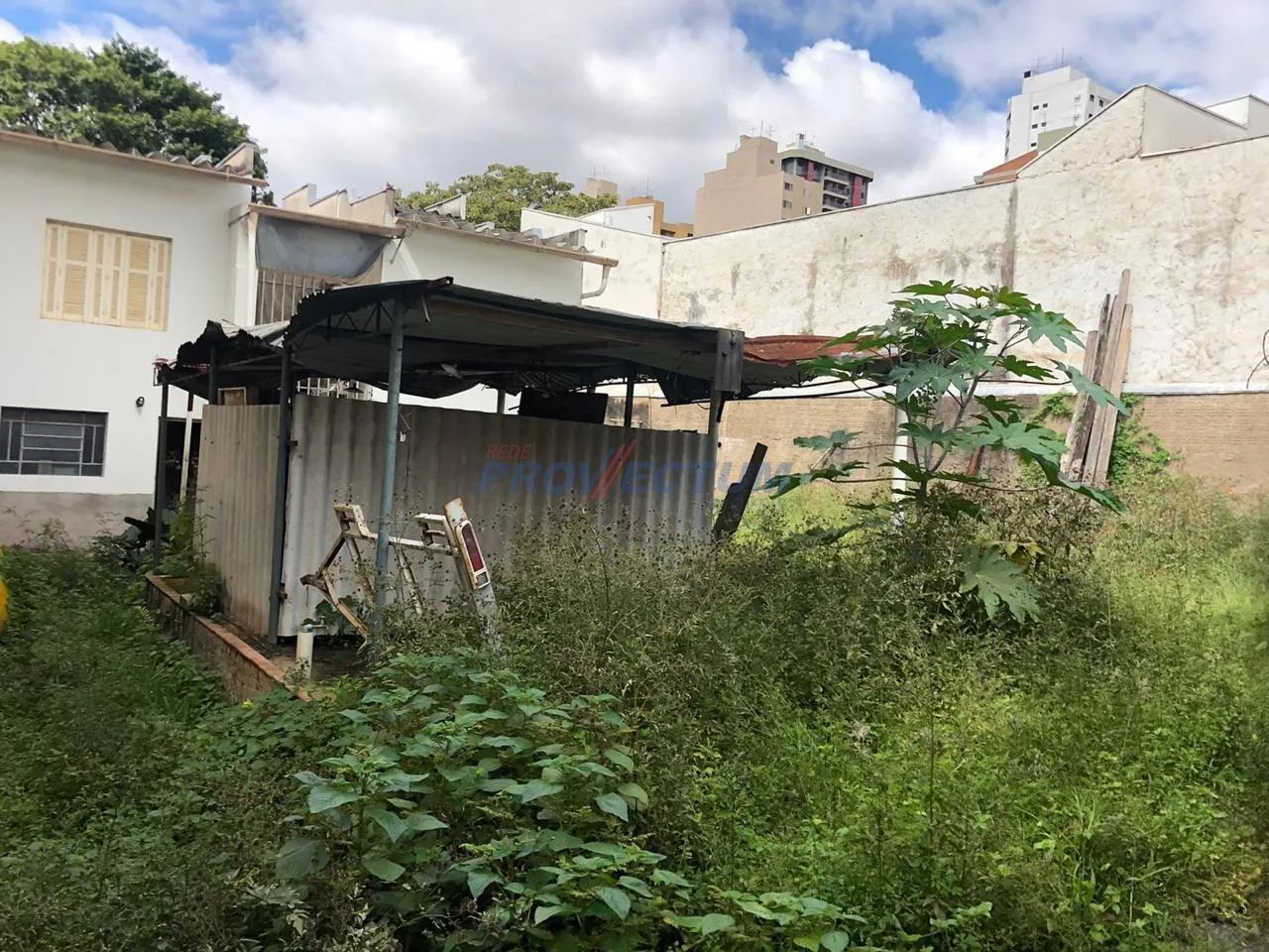 casa - Cambuí - Campinas - Foto 5