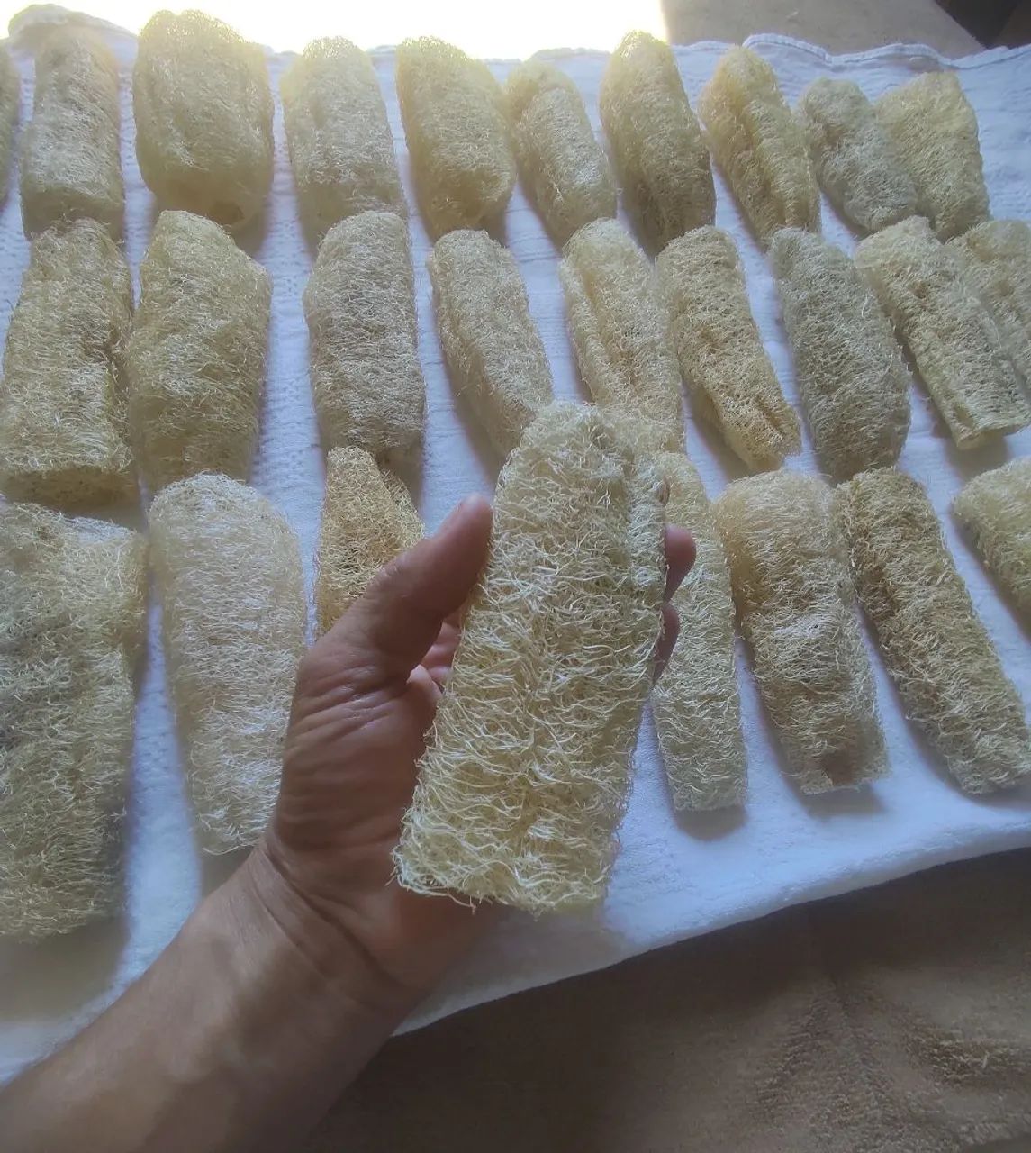 Bucha vegetal natural 