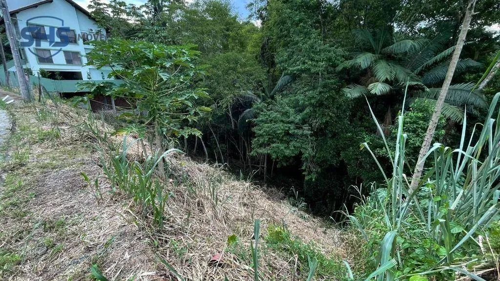 TERRENO NO JARDIM BLUMENAU - Foto 2