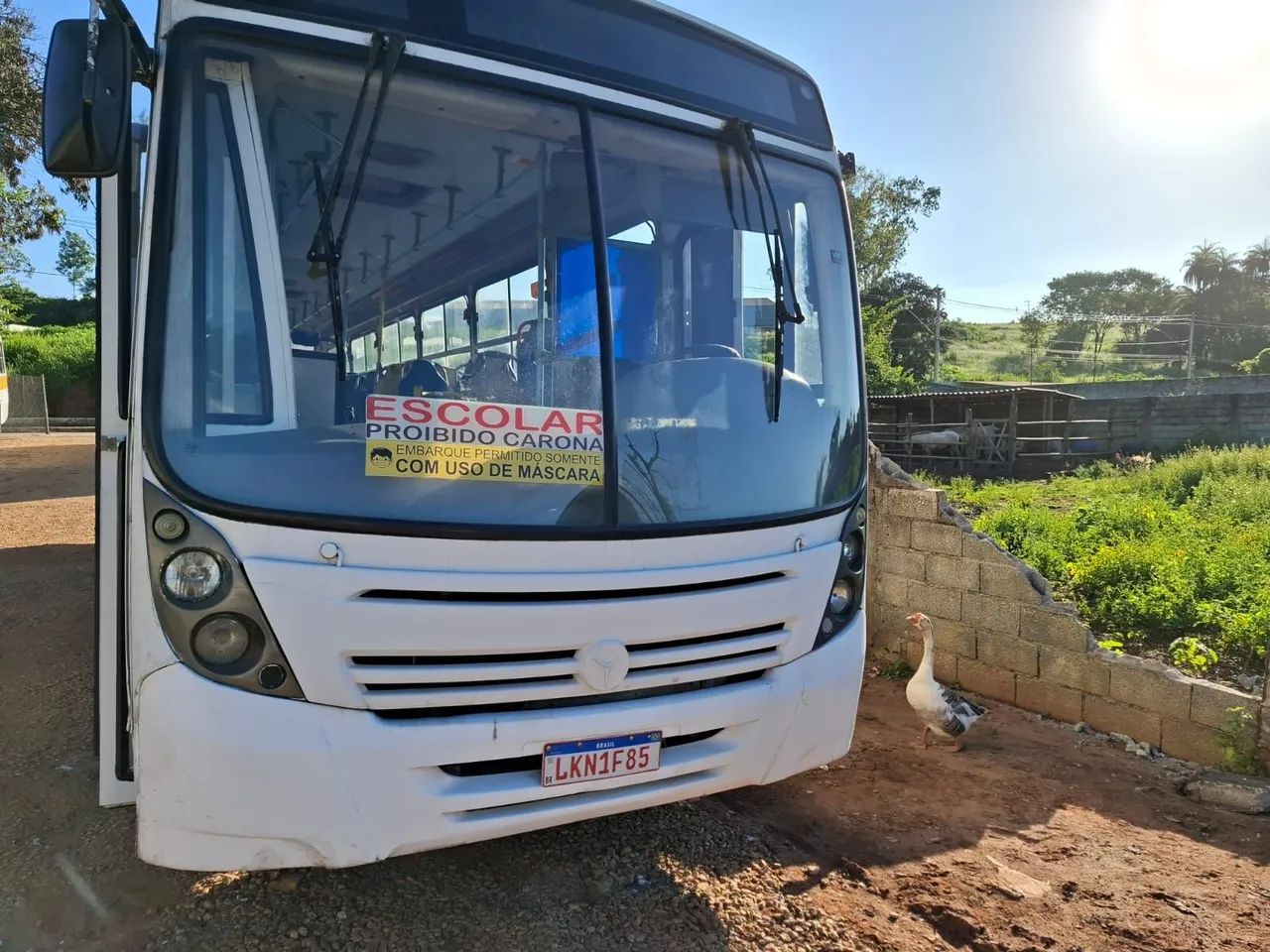 Neobus - Foto 2
