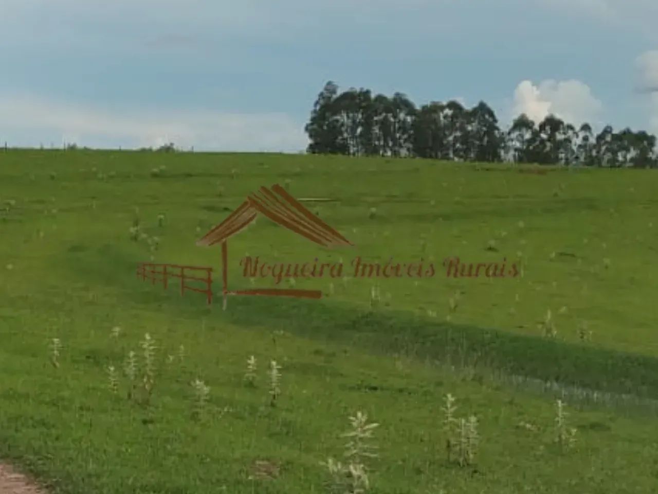 Fazenda com 137 alqueires em Garça-SP - Foto 3