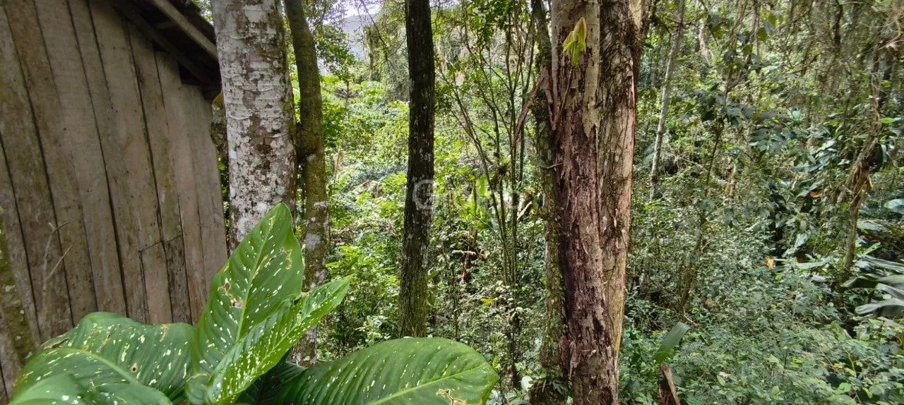 Terreno de 6.284m² no Pantanal - Foto 3