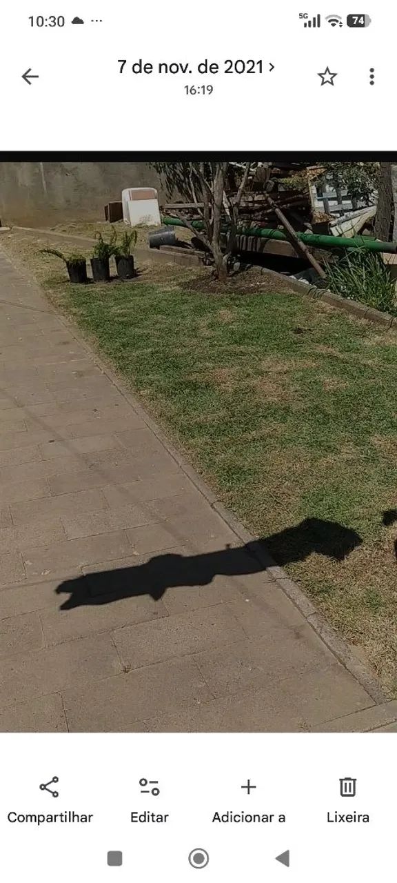 Casa de fundo com quintal amplo 