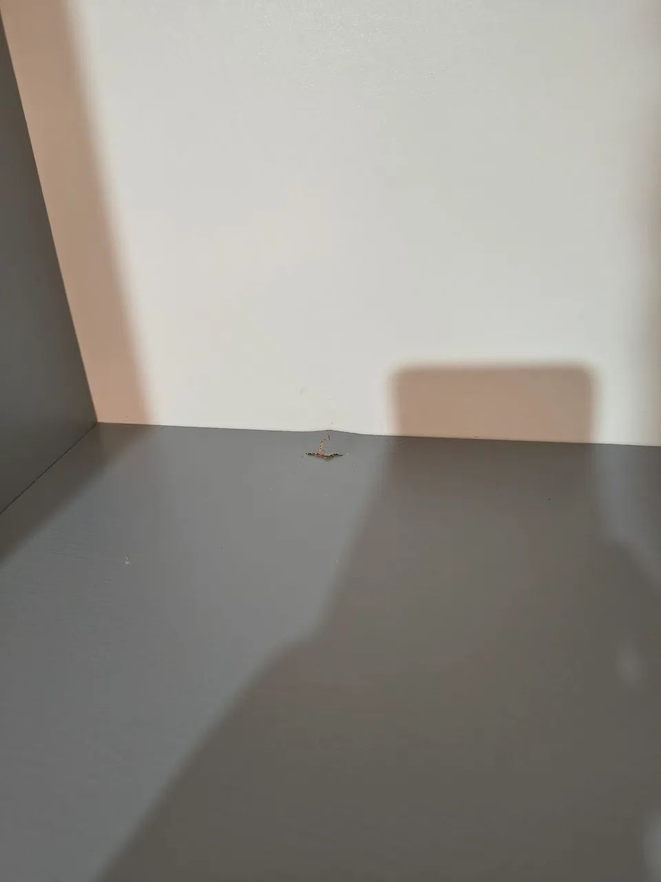 Estante - Foto 4