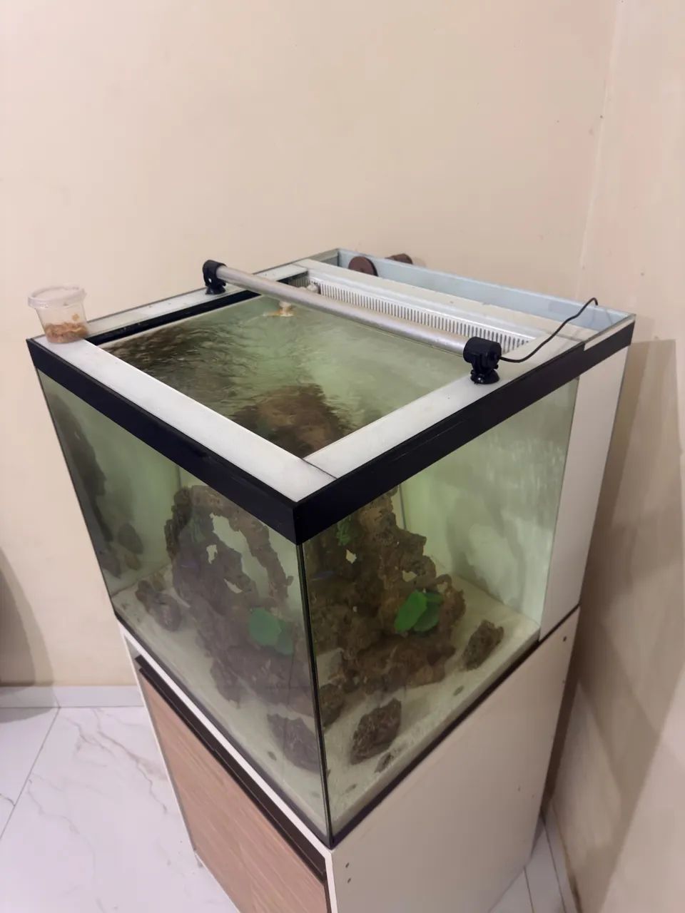 AQUÁRIO COMPLETÃO - Foto 2