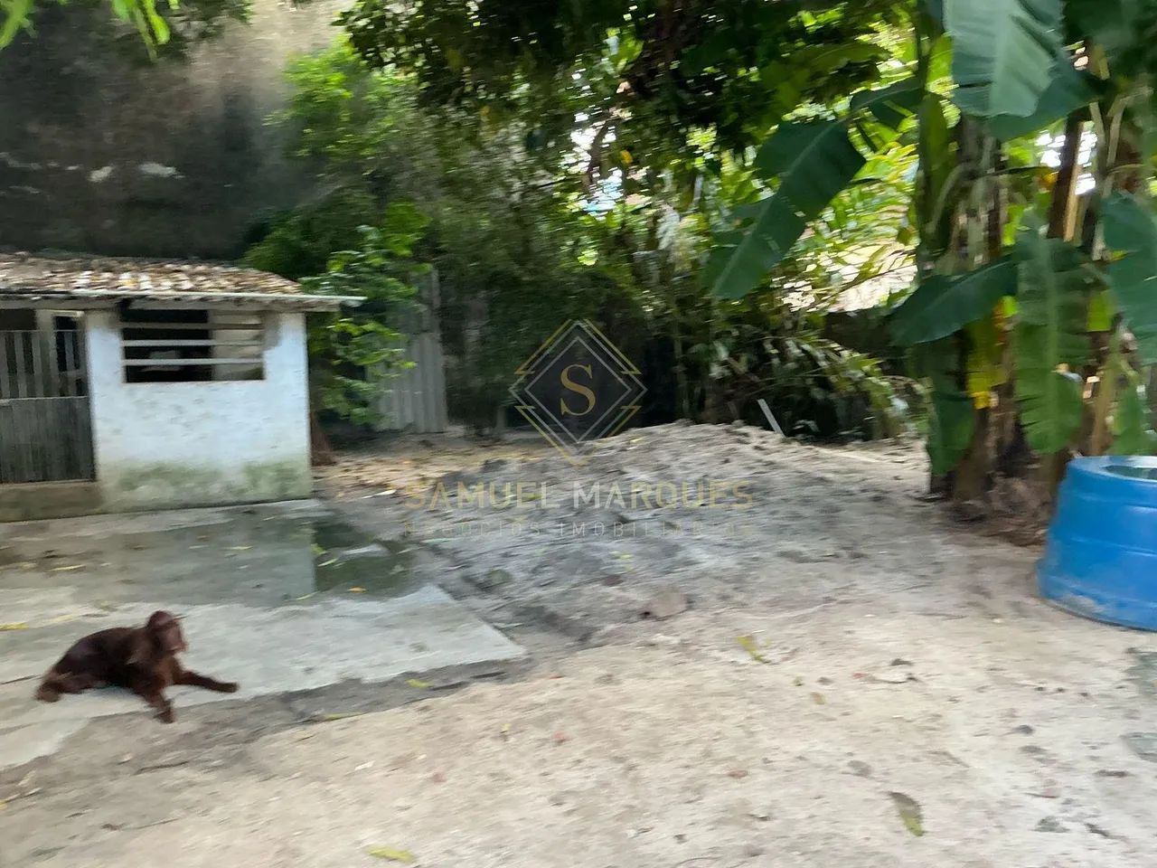 Lote / Terreno em Casa Forte - Recife - Foto 2