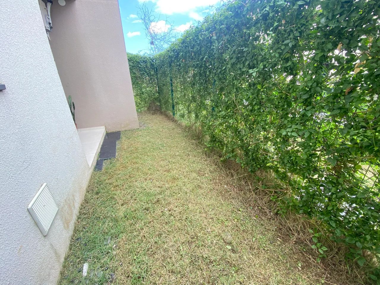 Grama e jardim - Foto 2
