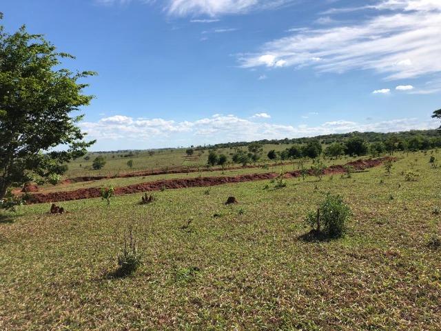 Fazenda com 515 hectares em Bataguassu toda formada em pastagem - Foto 2