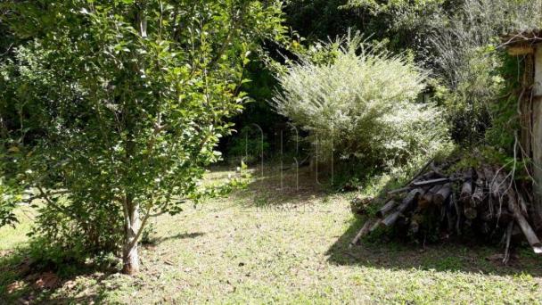 Sítio em gramado, linha tapera, 3,8 hectares