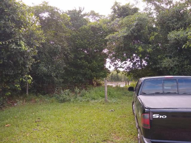 Fazenda a Venda - Foto 8
