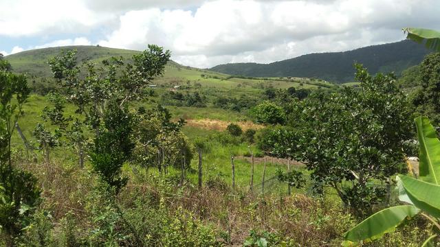 Sítio dos sonhos seu pedaço do Paraíso com 7 hectares por 150 mil - Foto 8