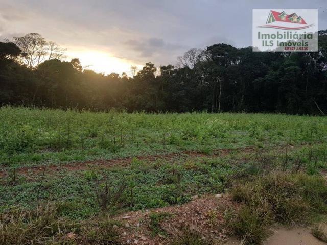Chácara serrinha - Foto 2