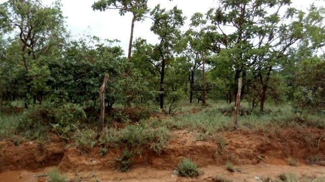 Lote em Cachoeira do Choro - Foto 6